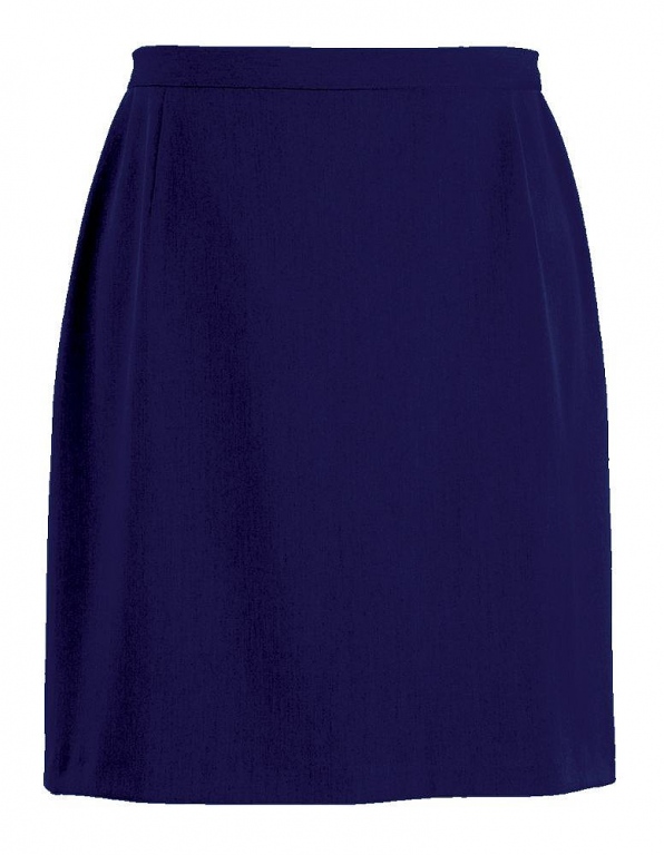 Navy Blue Pleated Skirt — Academic TradCat Uniforms For Life ...