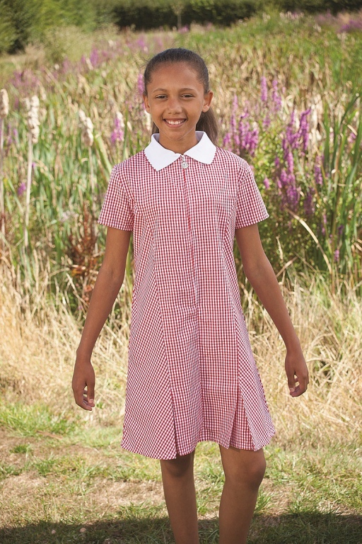 Summer Dress | Gingham Dress | School Gingham Summer Dress | County ...