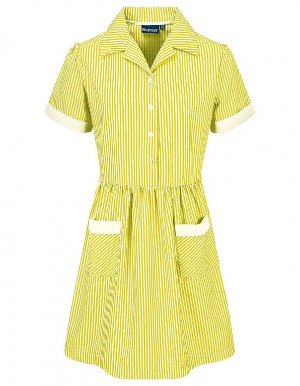 Summer Dress | Striped School Poly Cotton Dress | County Sports and ...