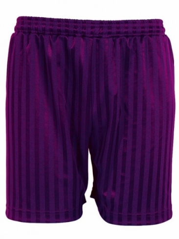 Football Kit Shorts Shadow Stripe