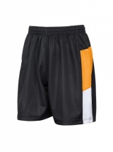 *New* Wolverley CE Secondary School PE Shorts